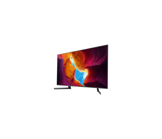 Sony KD-49XH9505 - 578568 - zdjęcie 15